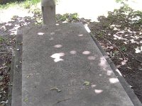 01-31 Domokos József